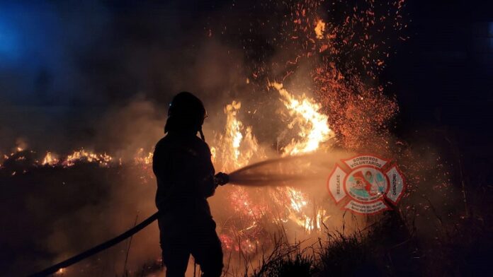 WhatsApp Image 2024-07-10 at 08.09.28 (1)