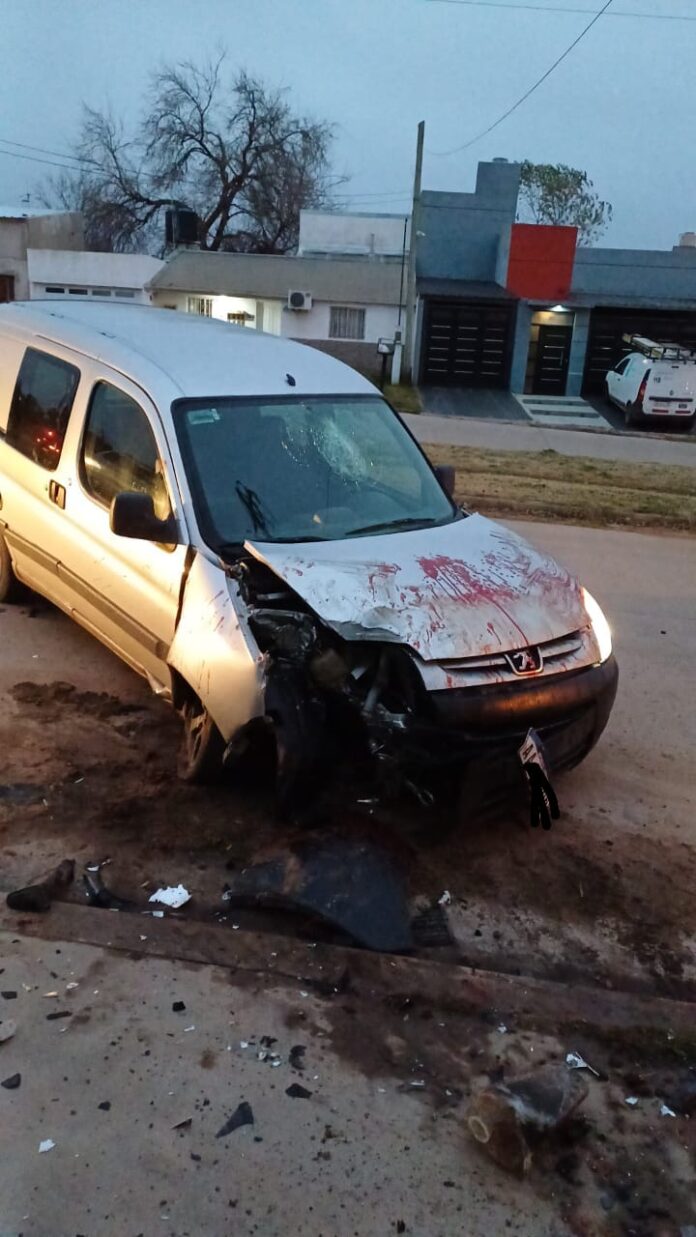 WhatsApp Image 2024-07-20 at 11.40.12