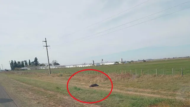 hernandez-nogouya-banquinajpg