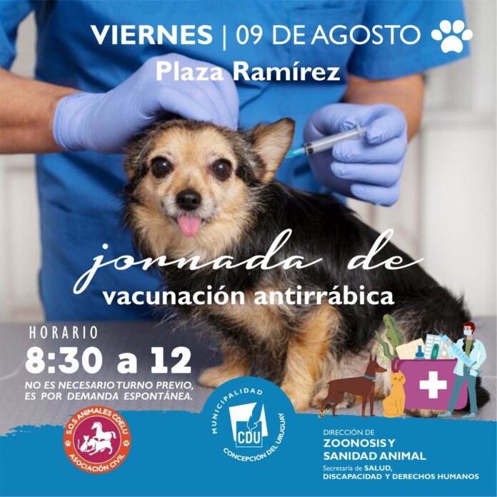 Vacunación Antirrábica