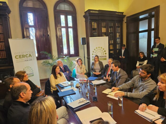 WhatsApp Image 2024-08-13 at 14.33.01