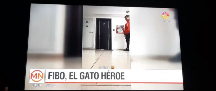 WhatsApp Image 2024-08-13 at 17.34.49