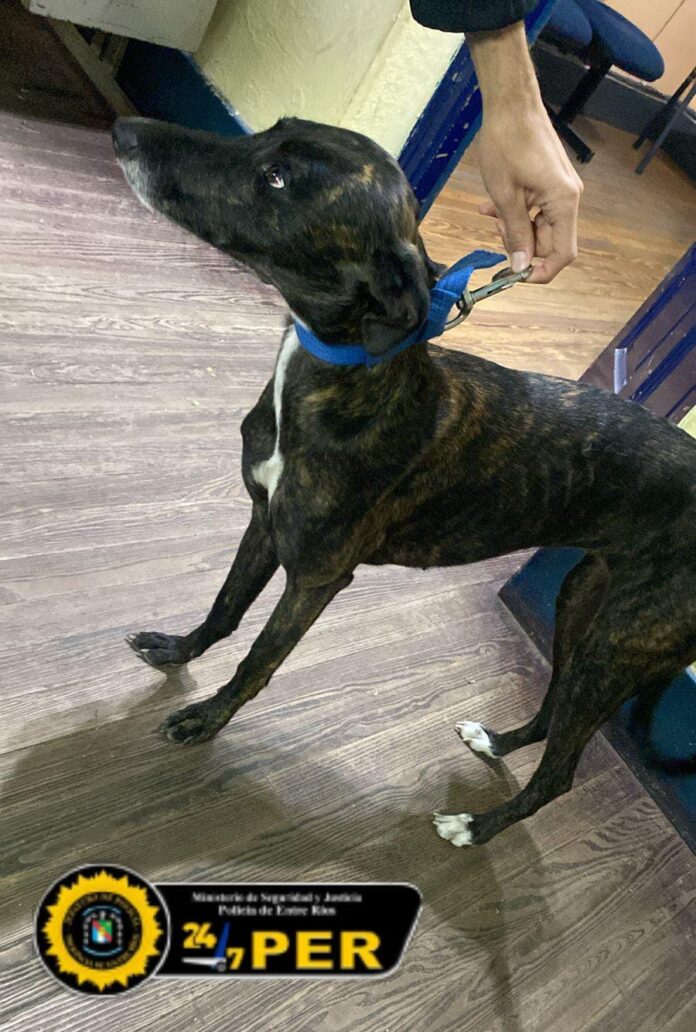 WhatsApp Image 2024-08-18 at 11.05.42