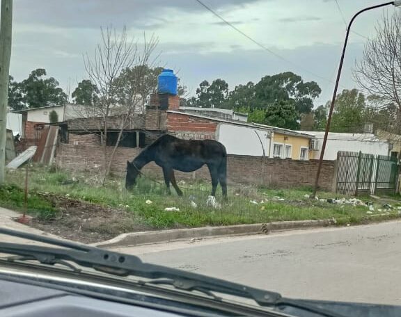 4c7bd945-069f-4e00-bc1e-646e0d6ee57f