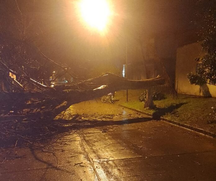 52e14fa2-b50e-4beb-9aad-7f2b173936e7