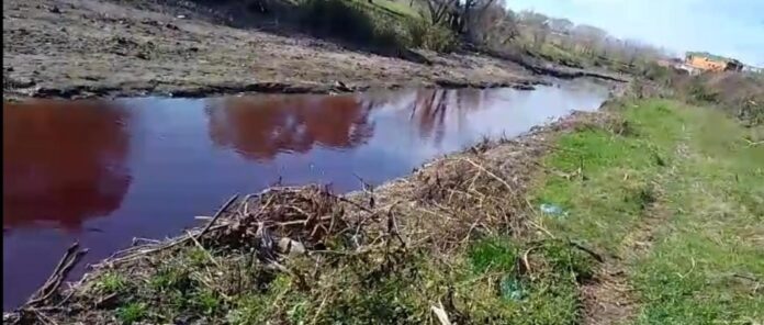 Imagen de WhatsApp 2024-09-04 a las 08.48.09_60399e96