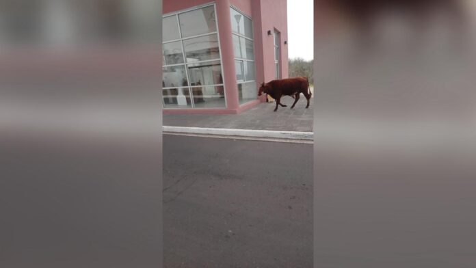 Imagen de WhatsApp 2024-09-21 a las 16.29.24_970d2e75