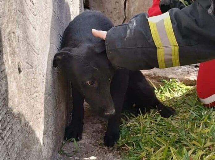 Imagen de WhatsApp 2024-09-28 a las 22.48.10_fa762979