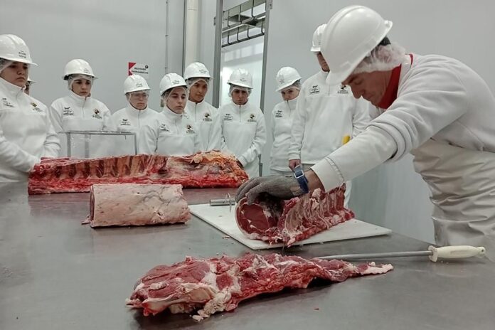 SAVE_20240916_142010