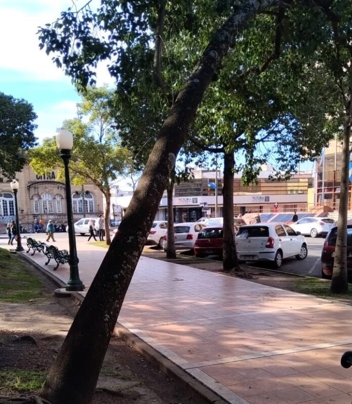 WhatsApp Image 2024-09-03 at 15.06.40