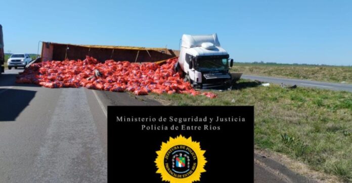 WhatsApp Image 2024-09-05 at 17.37.23