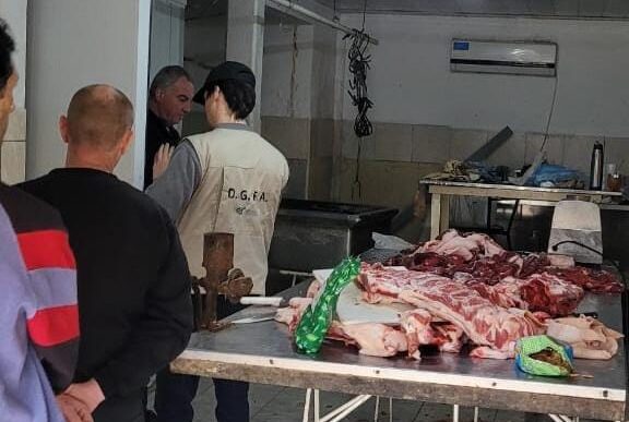 WhatsApp Image 2024-09-07 at 19.07.29