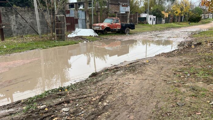 WhatsApp Image 2024-09-23 at 17.30.34