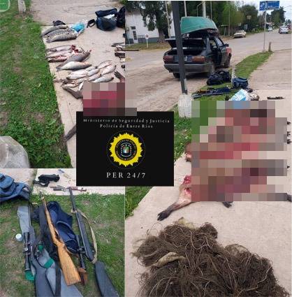 WhatsApp Image 2024-09-26 at 18.11.11