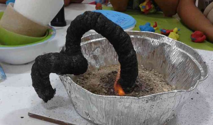 serpiente negra 700x6002