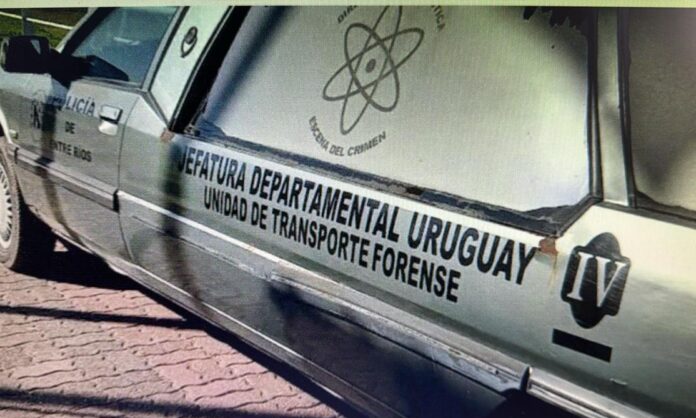 Imagen de WhatsApp 2024-10-23 a las 11.55.19_6fed1654