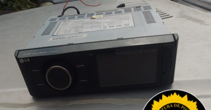 WhatsApp Image 2024-10-01 at 17.59.24