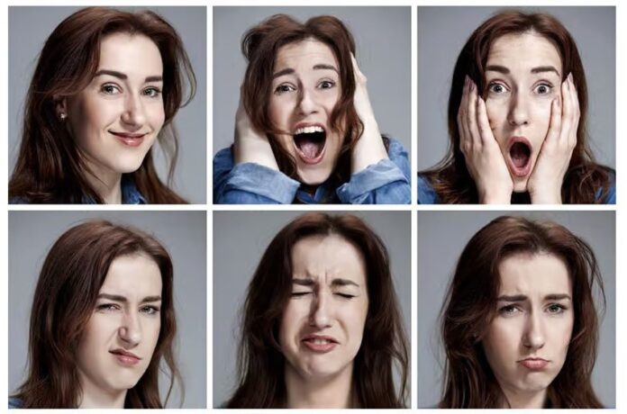 WhatsApp Image 2024-10-02 at 19.23.44