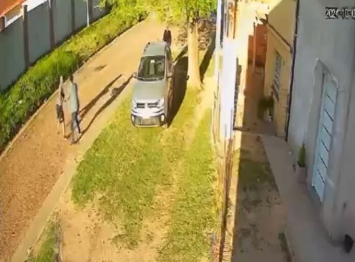 WhatsApp Image 2024-10-04 at 17.55.01