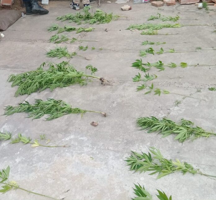 WhatsApp Image 2024-10-09 at 18.28.05