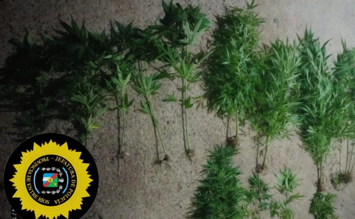 2ce0403d-f9e0-4372-b66d-d1d6beba0b5c