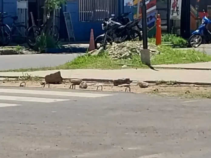 61b05820-cdc9-43ae-a657-f252a4219330