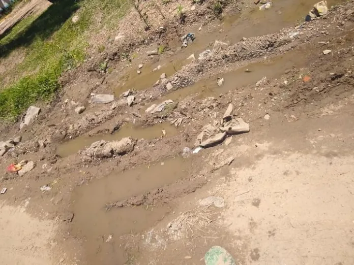 85aad298-5060-4db4-aec9-64854c37417a