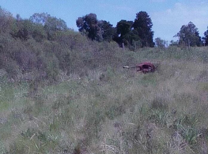 Imagen de WhatsApp 2024-11-04 a las 11.44.03_785dbf4c