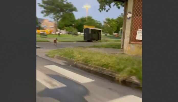 Imagen de WhatsApp 2024-11-05 a las 09.33.58_7beb8964