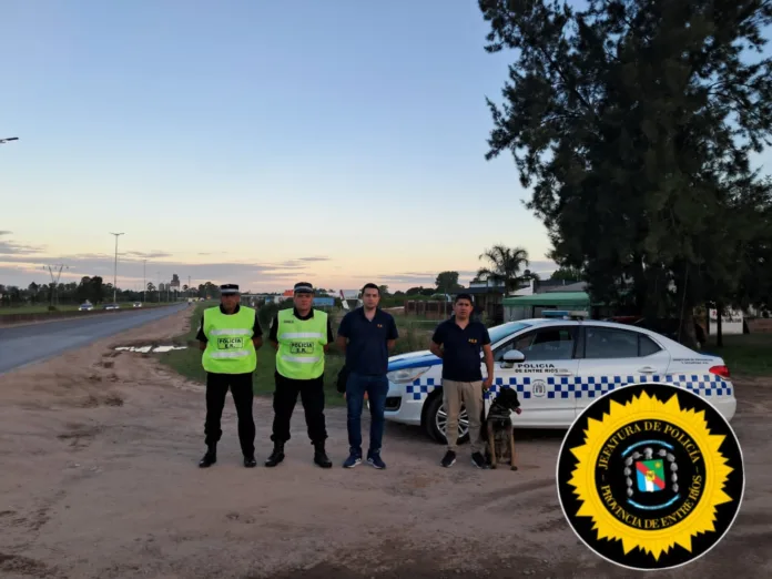 Imagen de WhatsApp 2024-11-30 a las 18.24.36_e60a9305