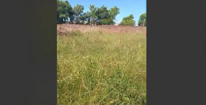 Imagen de WhatsApp 2024-12-04 a las 11.19.51_8bd6d2c3