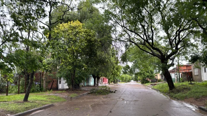 Imagen de WhatsApp 2024-12-06 a las 08.15.51_0135030c