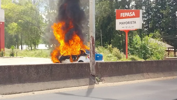 Imagen de WhatsApp 2024-12-11 a las 11.49.55_8c2567ce