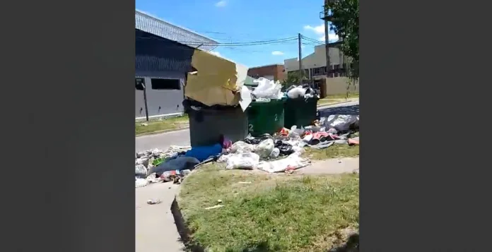 Imagen de WhatsApp 2024-12-26 a las 08.32.46_87fd980c