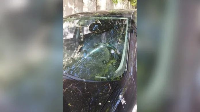 Imagen de WhatsApp 2024-12-26 a las 08.51.01_33817fa6