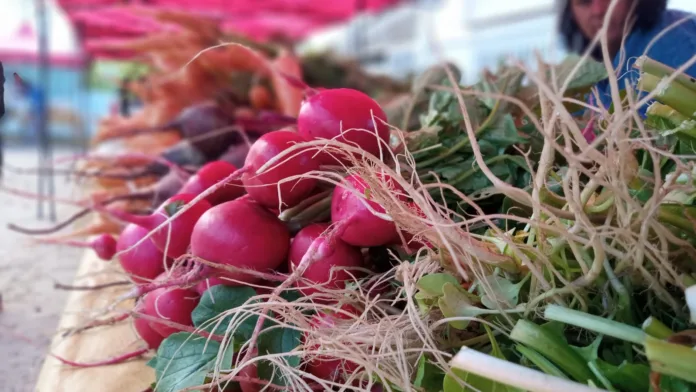 La Feria en tu Barrio