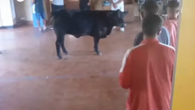 e8314aaf-1edb-4459-b0d1-310d5aa7f4c4