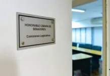 Senado: comisiones, audiencias públicas, y convocatoria a sesión