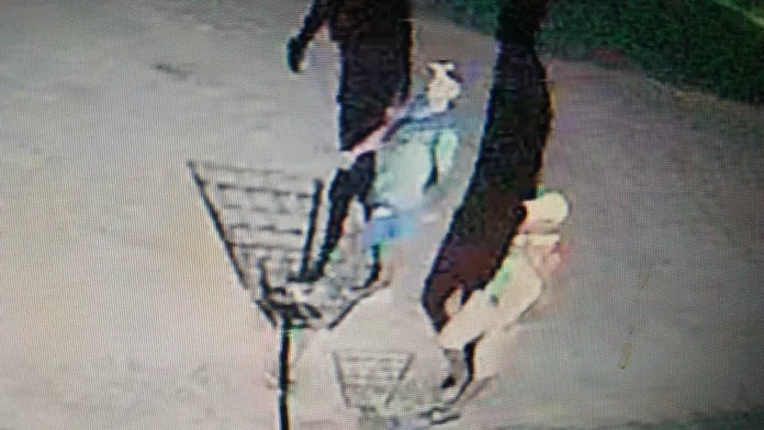 5aadbb89-f083-499e-a783-eae9a85da55e