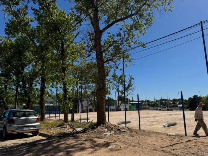 Imagen de WhatsApp 2025-01-08 a las 10.16.58_8c8e61fd