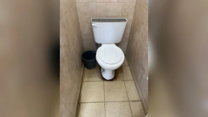 Imagen de WhatsApp 2025-01-08 a las 11.38.35_1ae8bd29