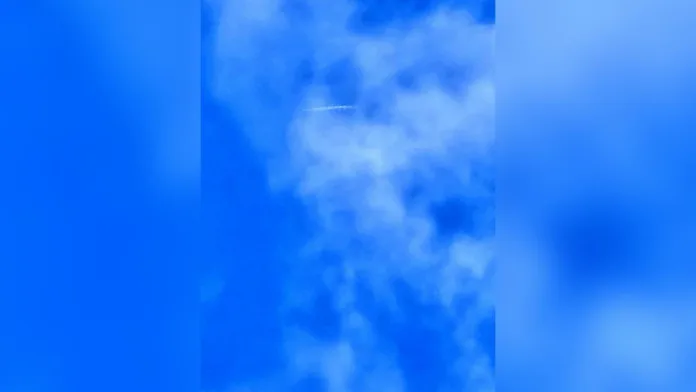 Imagen de WhatsApp 2025-01-09 a las 09.50.29_f3ba0c6a