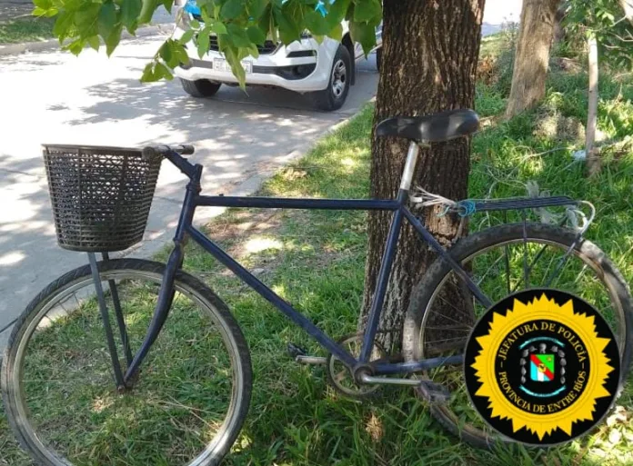 Imagen de WhatsApp 2025-01-10 a las 10.52.07_4c1c2337