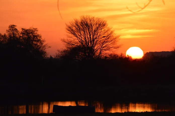 WhatsApp Image 2025-01-07 at 18.48.13