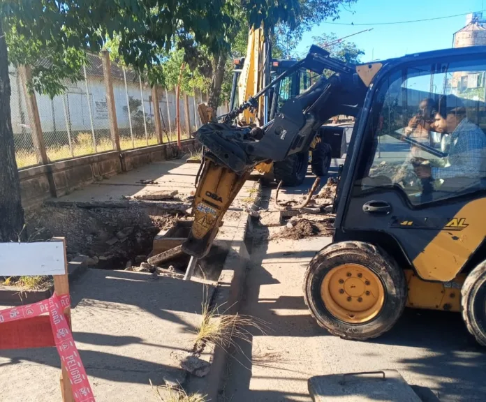 WhatsApp Image 2025-01-11 at 16.39.21