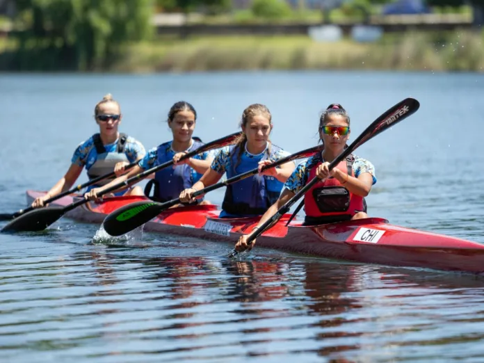 WhatsApp Image 2025-01-13 at 16.58.57