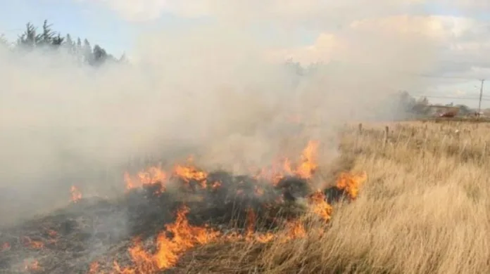 WhatsApp Image 2025-01-14 at 19.48.31