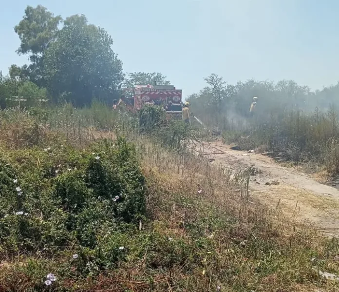 WhatsApp Image 2025-01-17 at 13.36.28