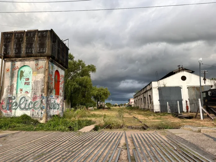 WhatsApp Image 2025-01-19 at 19.03.23 (1)