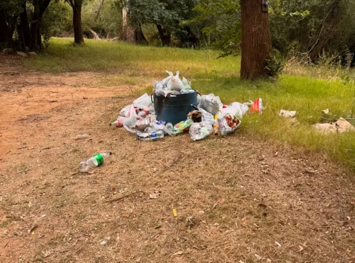 WhatsApp Image 2025-01-27 at 09.22.20